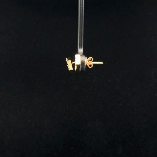 Stud Earrings