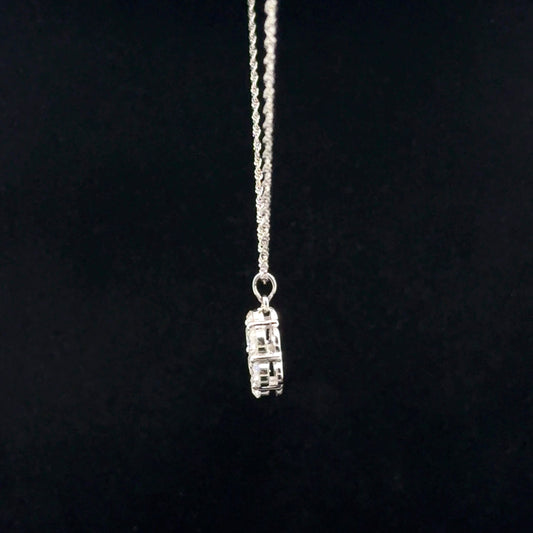 Pendant and Chain