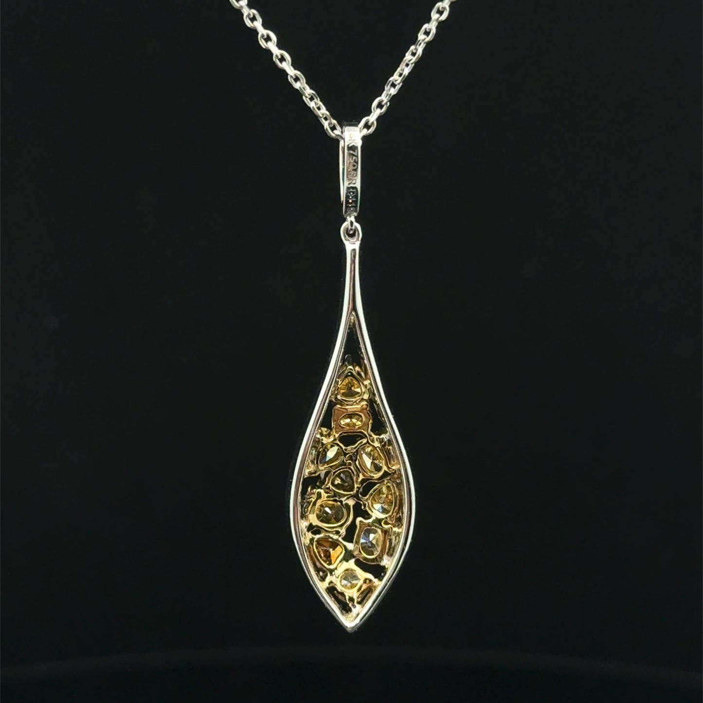 Pendant and Chain