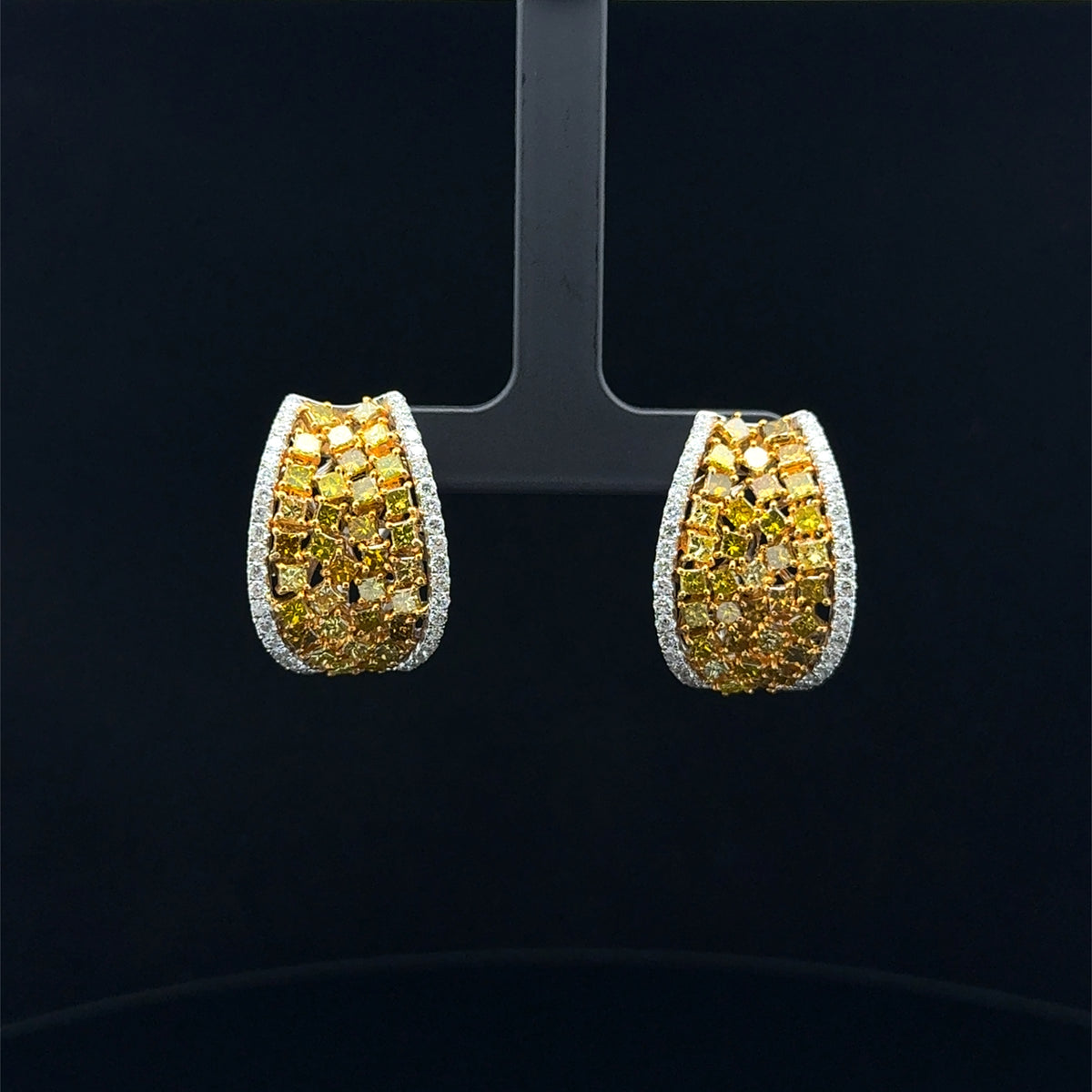 Hoop Earrings