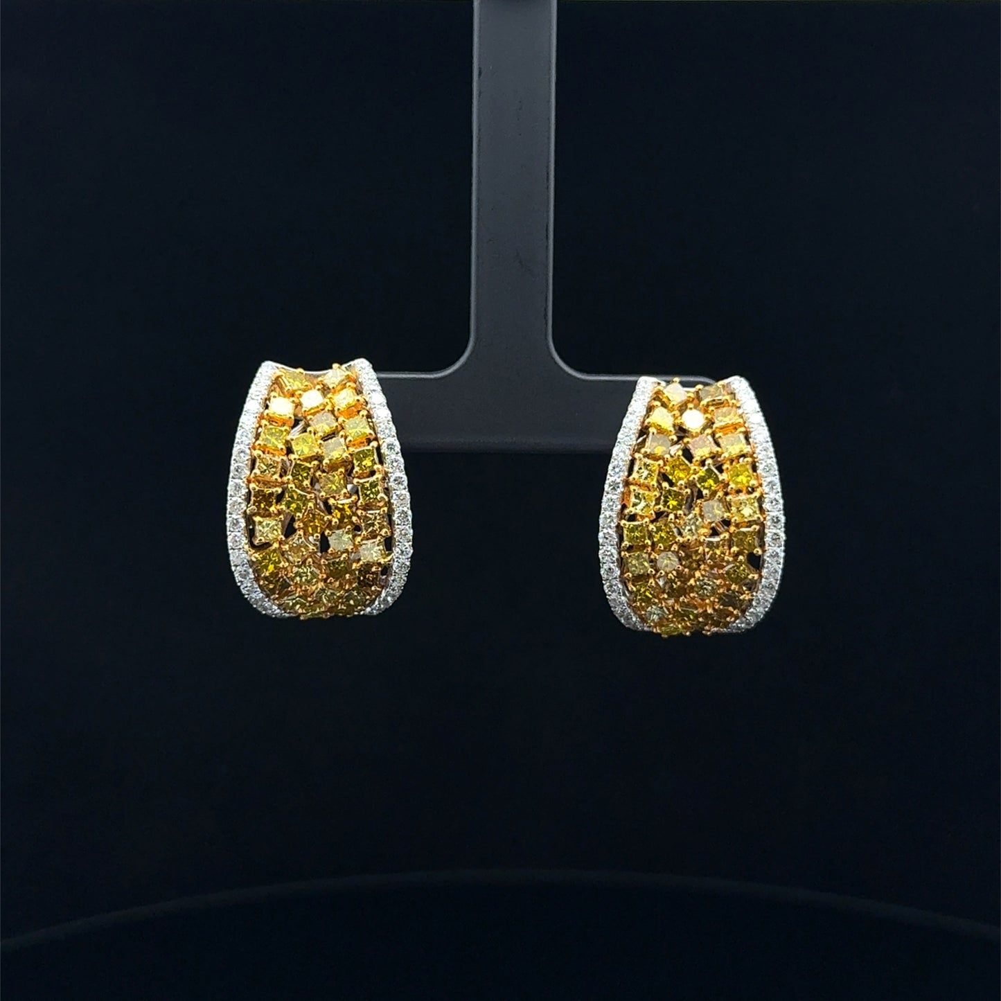 Hoop Earrings