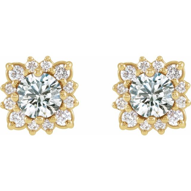 14k-yellow-gold-natural-white-sapphire-&-1/2-ctw-natural-diamond-halo-style-earrings