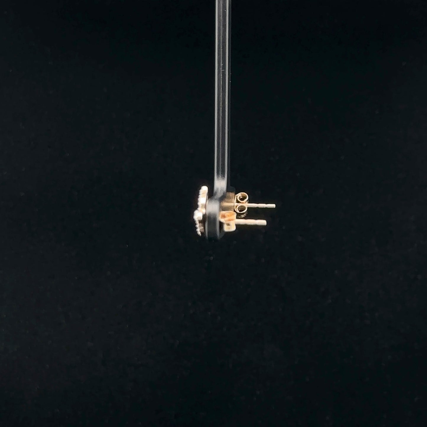 Stud Earrings