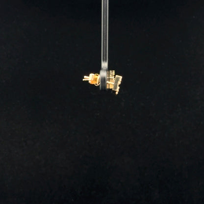Stud Earrings