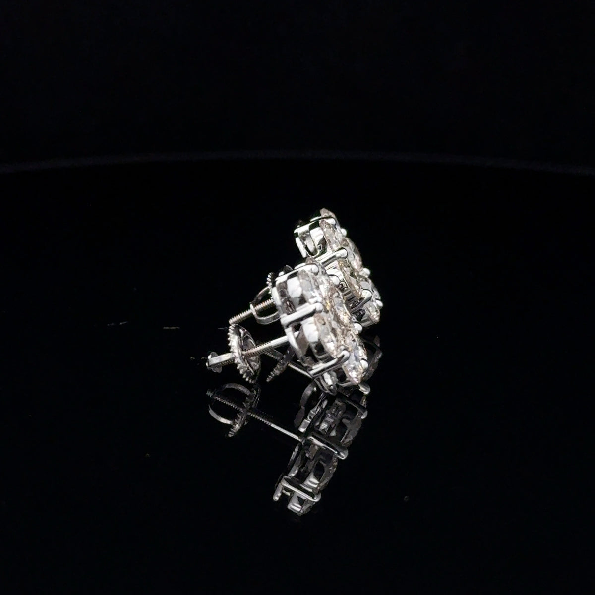 Stud Earrings