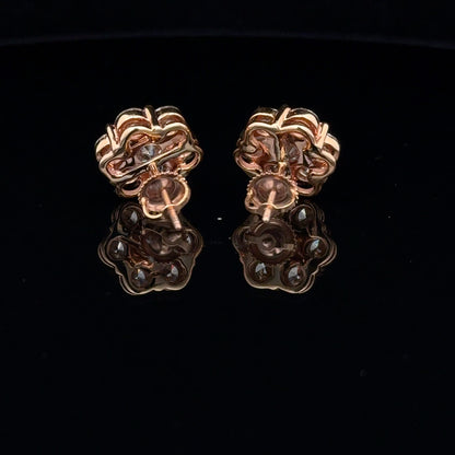 Stud Earrings