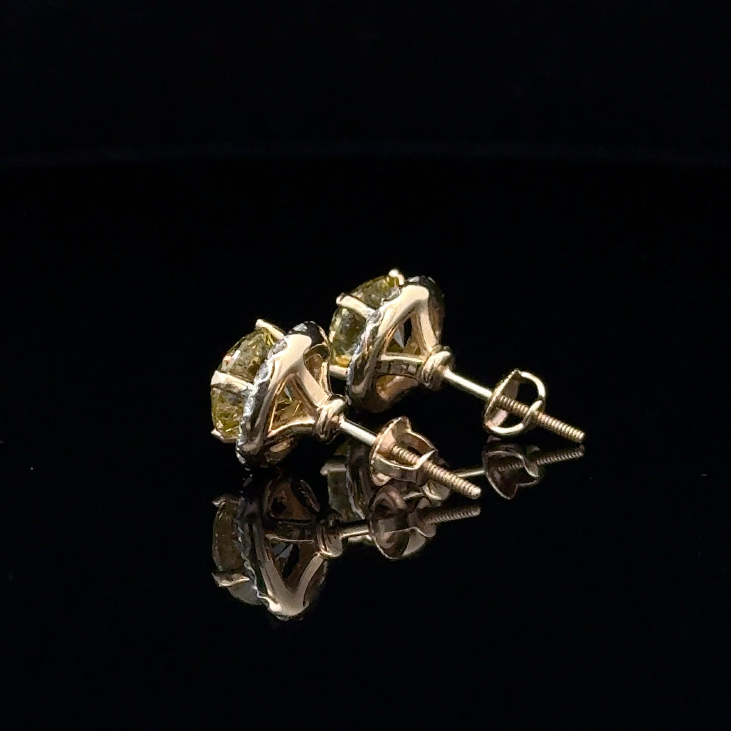 Halo Studs