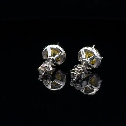 Halo Studs