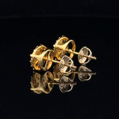 Stud Earrings