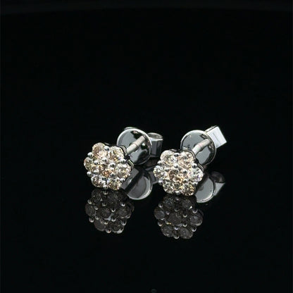 Stud Earrings