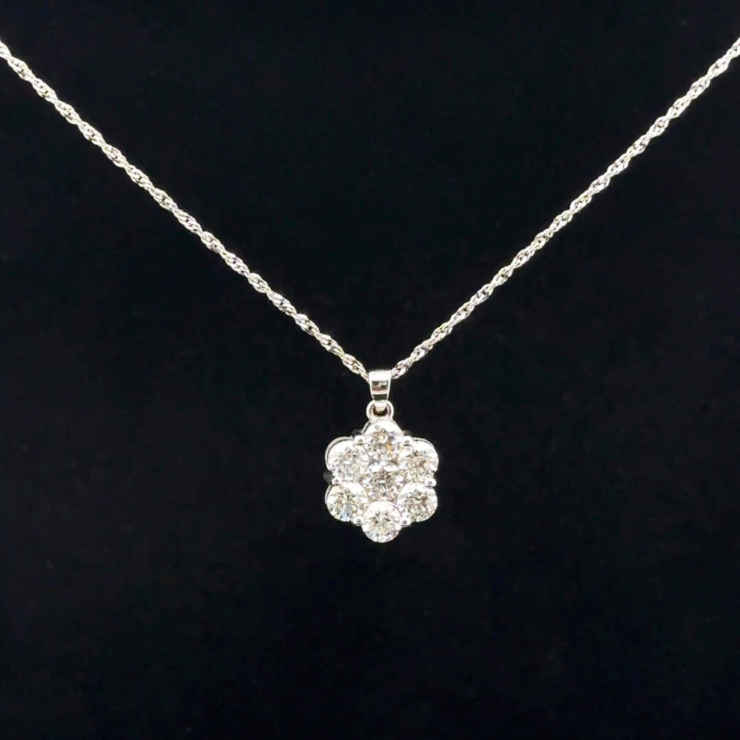 Pendant and Chain