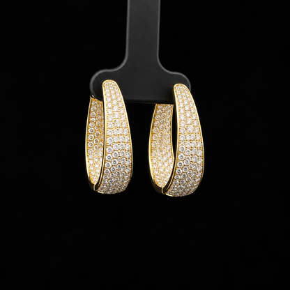 Hoop Earrings