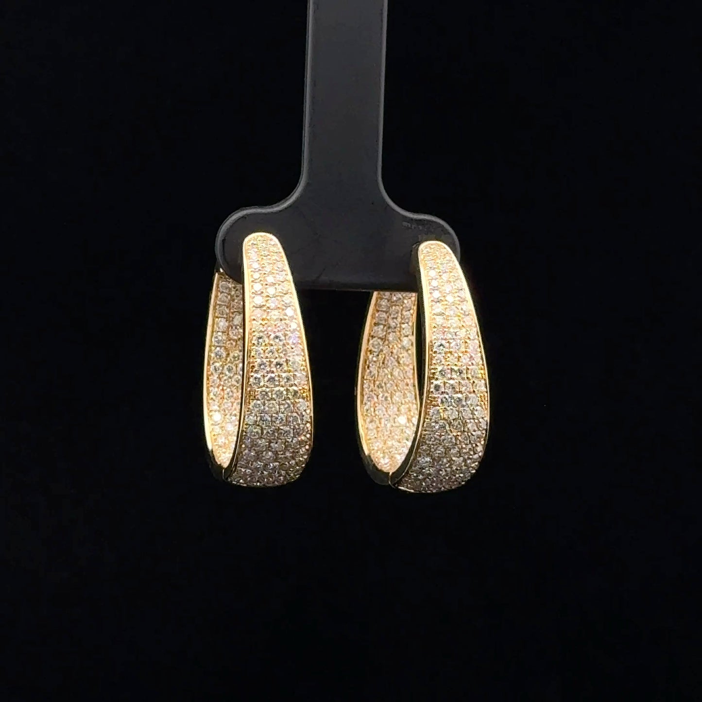 Hoop Earrings