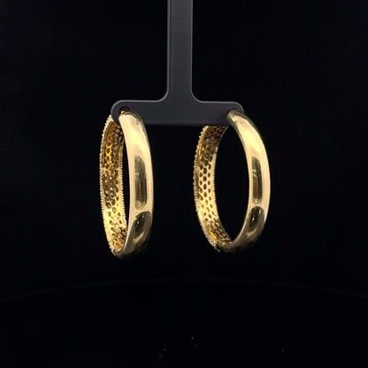 Hoop Earrings