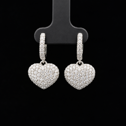 Dangle Earrings