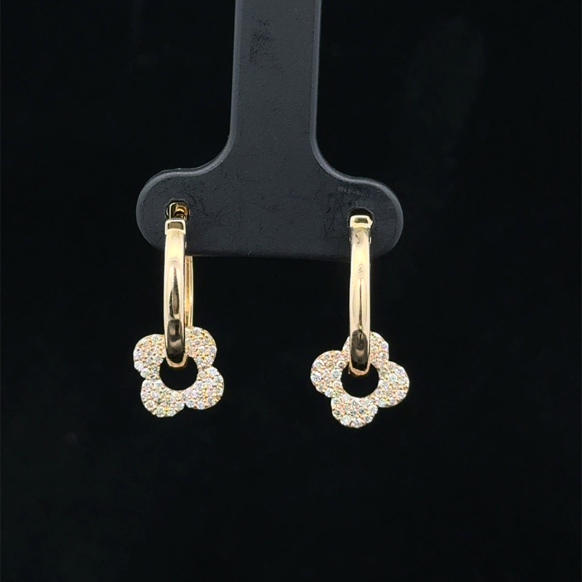 Hoop Earrings