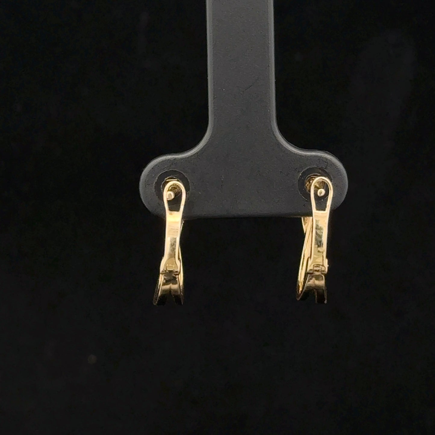 Hoop Earrings