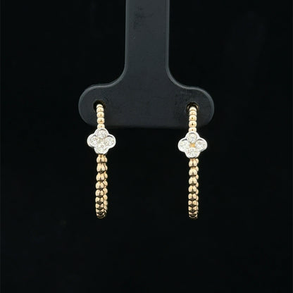Hoop Earrings