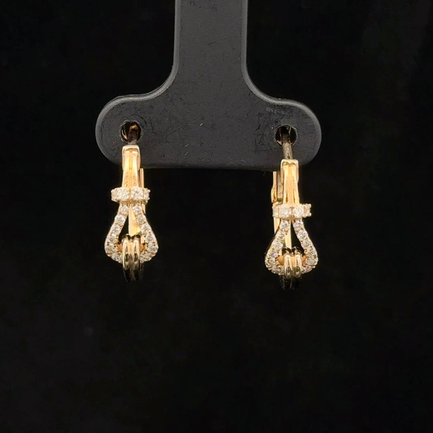 Hoop Earrings
