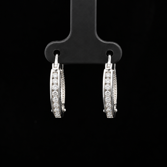 Hoop Earrings