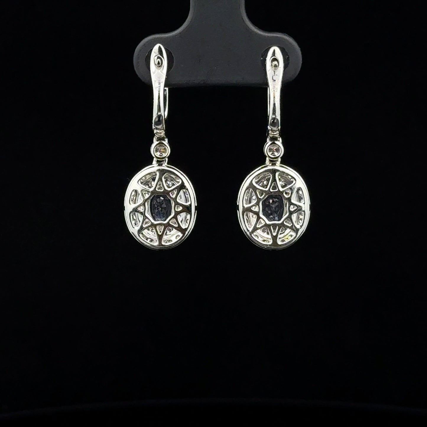 Dangle Earrings