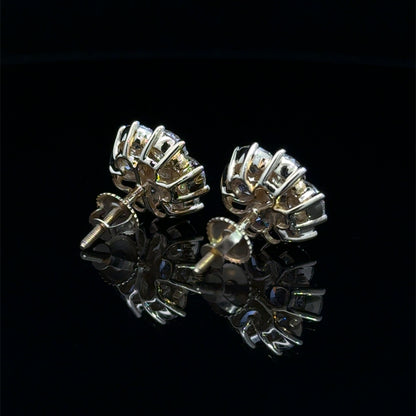 Certified Earrings