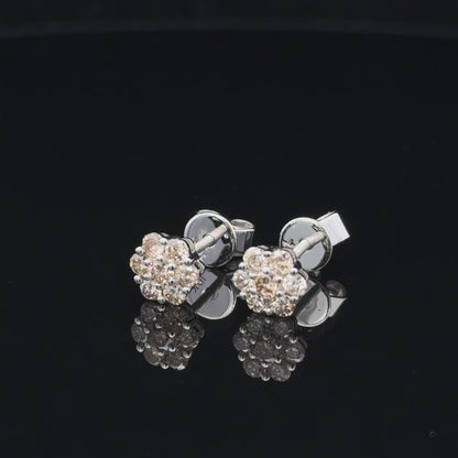 Stud Earrings