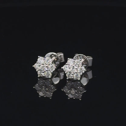 Stud Earrings
